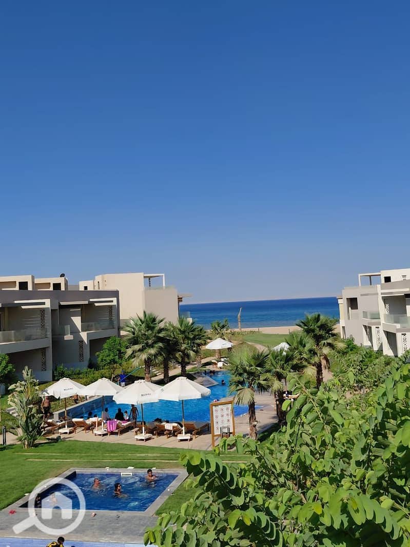 photo_2025-08-20_03-07-13. jpg