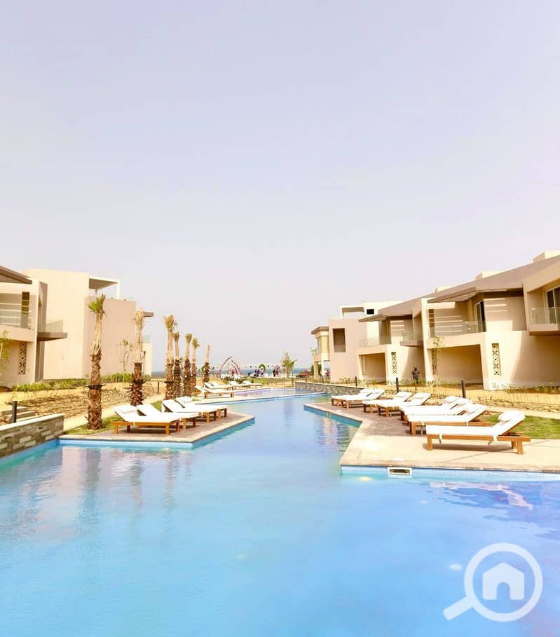 8 photo_2025-02-21_18-53-47. jpg