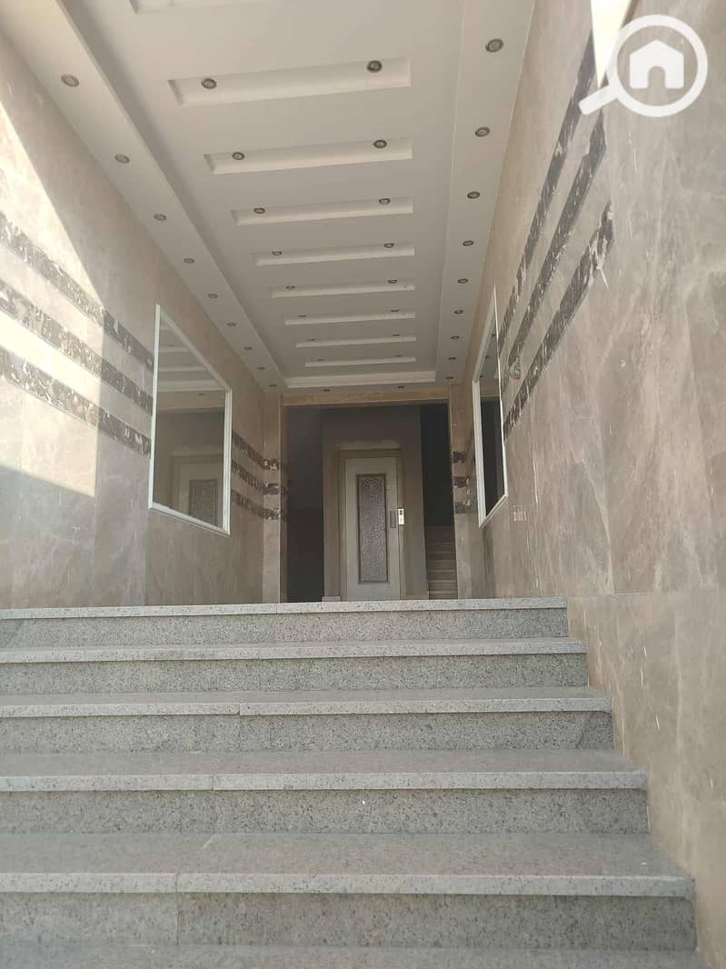 4 54ad1baa-ea64-4620-8901-494ae01d0a6b. jpg