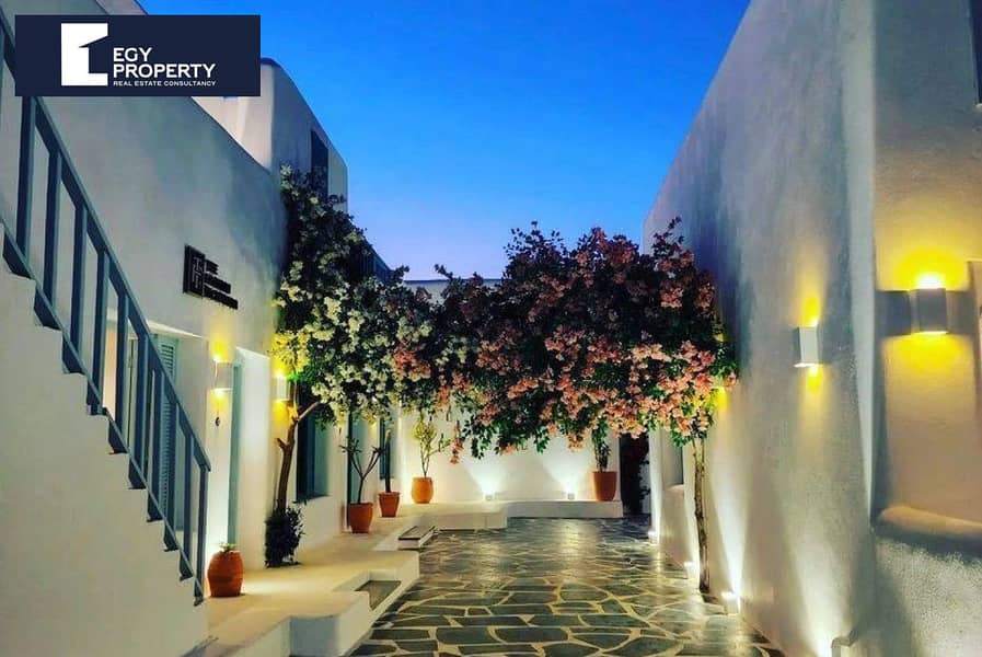 7 af1037a9-beae-4200-8397-b9c2287a403e (1). jpg