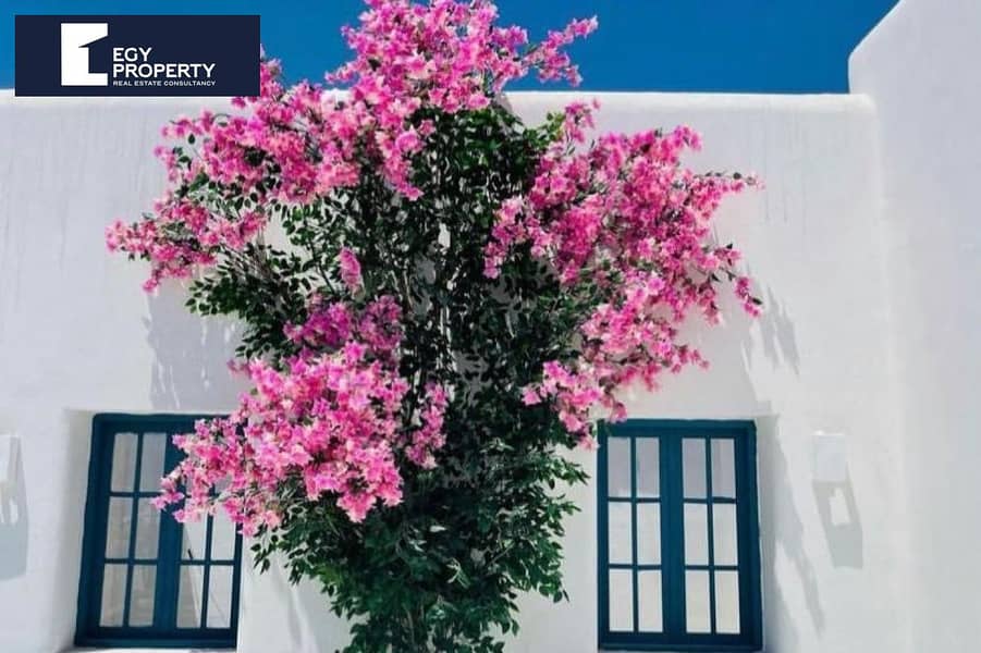 9 e078f00c-3d7b-4a72-8e7f-bdc2eb6e8201 (1). jpg