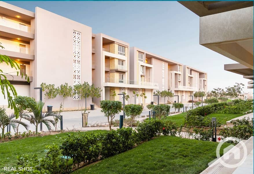 5 photo_2025-08-20_03-07-22. jpg