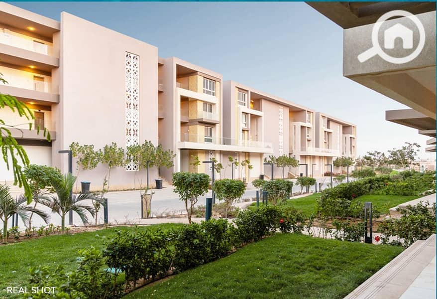 4 photo_2025-08-20_03-07-22. jpg