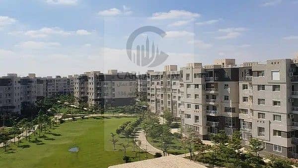 4 157128507-600x450. jpg