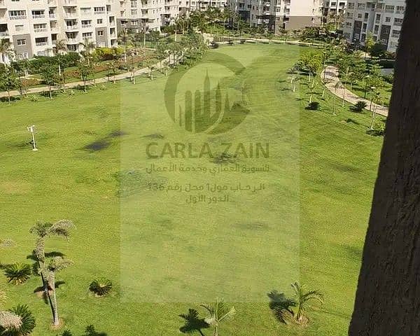 5 157128508-600x450. jpg