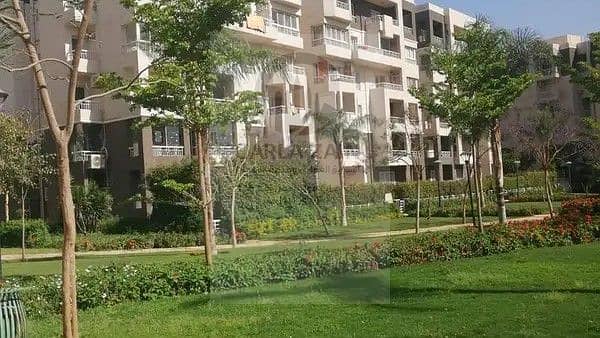 6 157129842-600x450. jpg