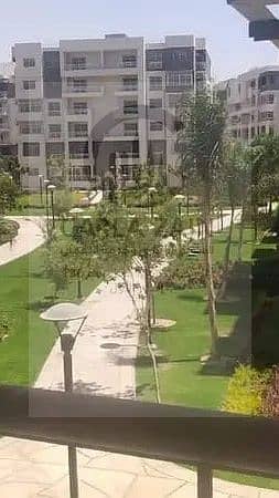 7 157129845-600x450. jpg