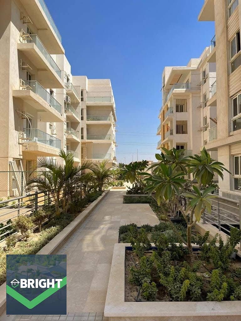 8 e44173aa-d46b-4b51-af7b-c87ec252e9bd. jpeg