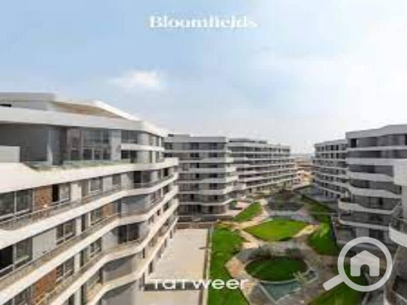 5 images (3). jfif. jpg