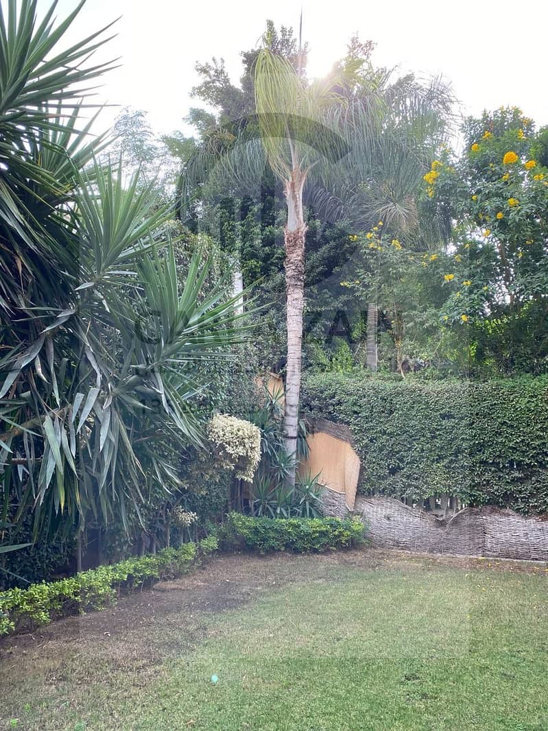 12 IMG-20251119-WA0187. jpg