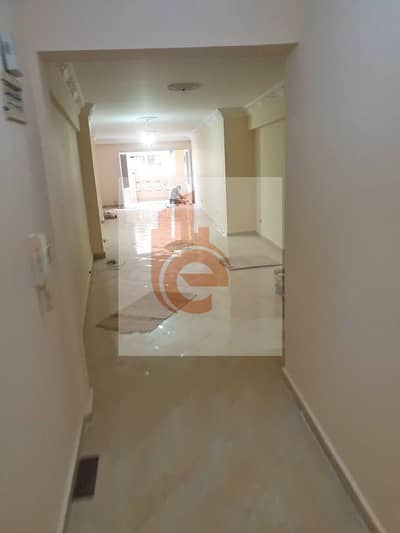 شقة 3 غرف نوم للايجار في سموحة، الإسكندرية - 584254188_1203629588481771_5496857149552309260_n (1). jpg