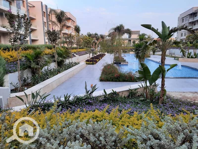 9 WhatsApp Image 2025-11-07 at 08.47. 38_a63e6439. jpg