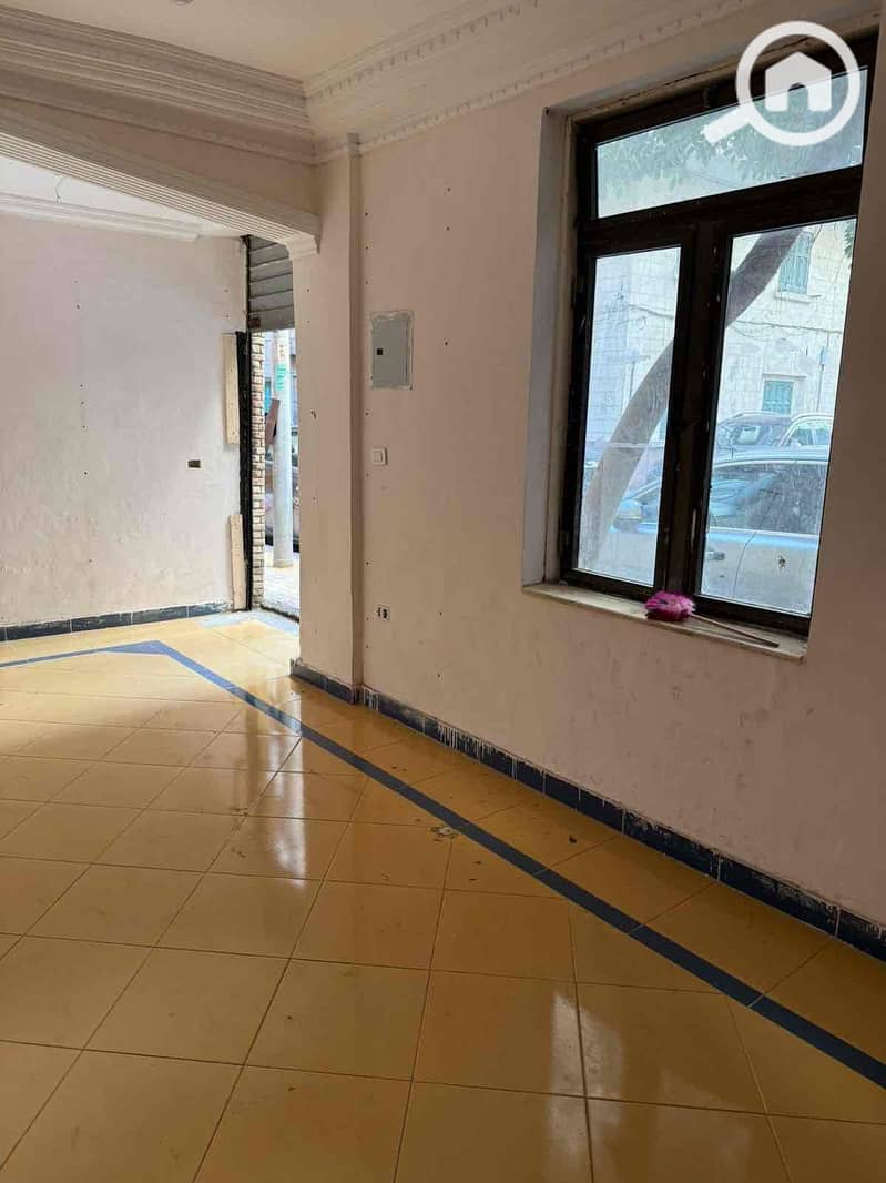 3 66f4a78b-50e5-45c6-baea-6a300cf39947. jpg