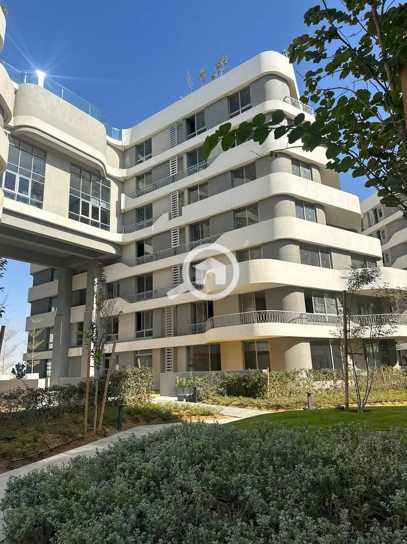 8 photo_2025-03-07_20-25-18 (2). jpg