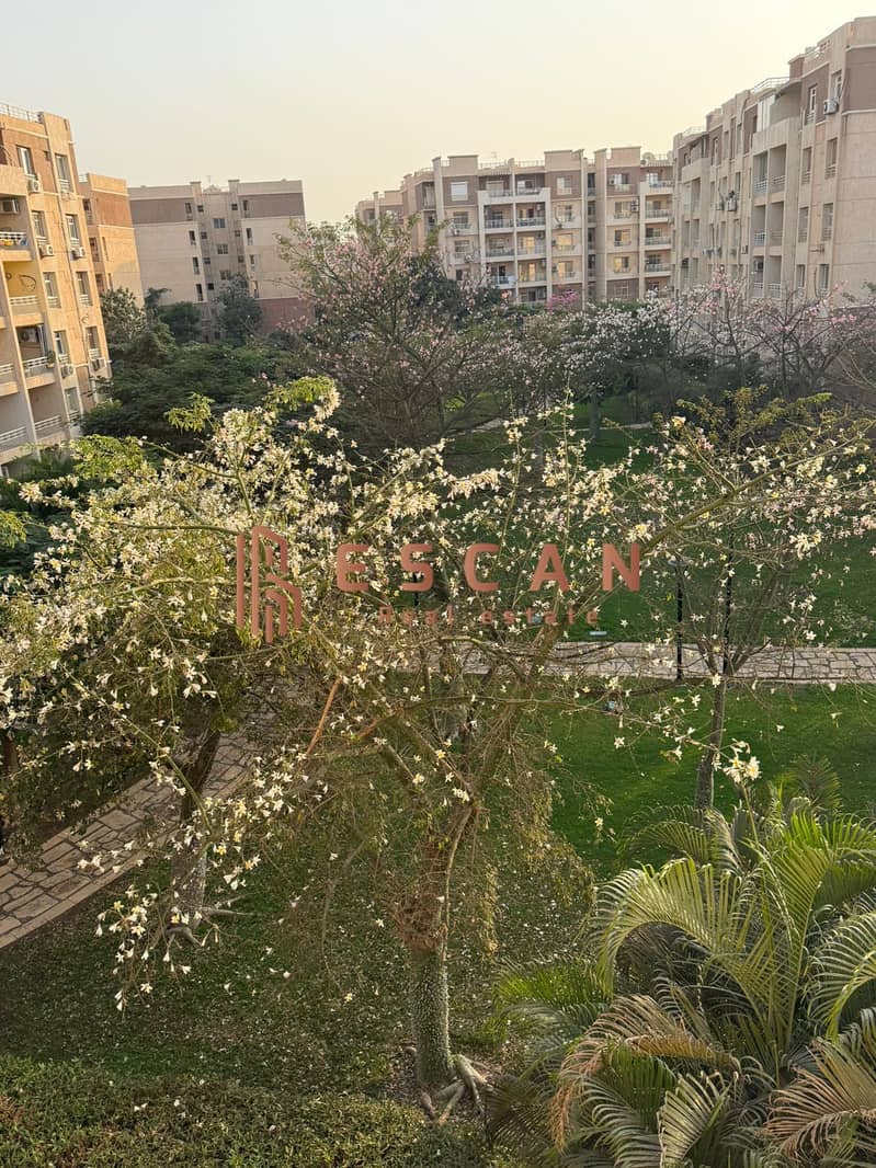 6 IMG-20251119-WA0587. jpg