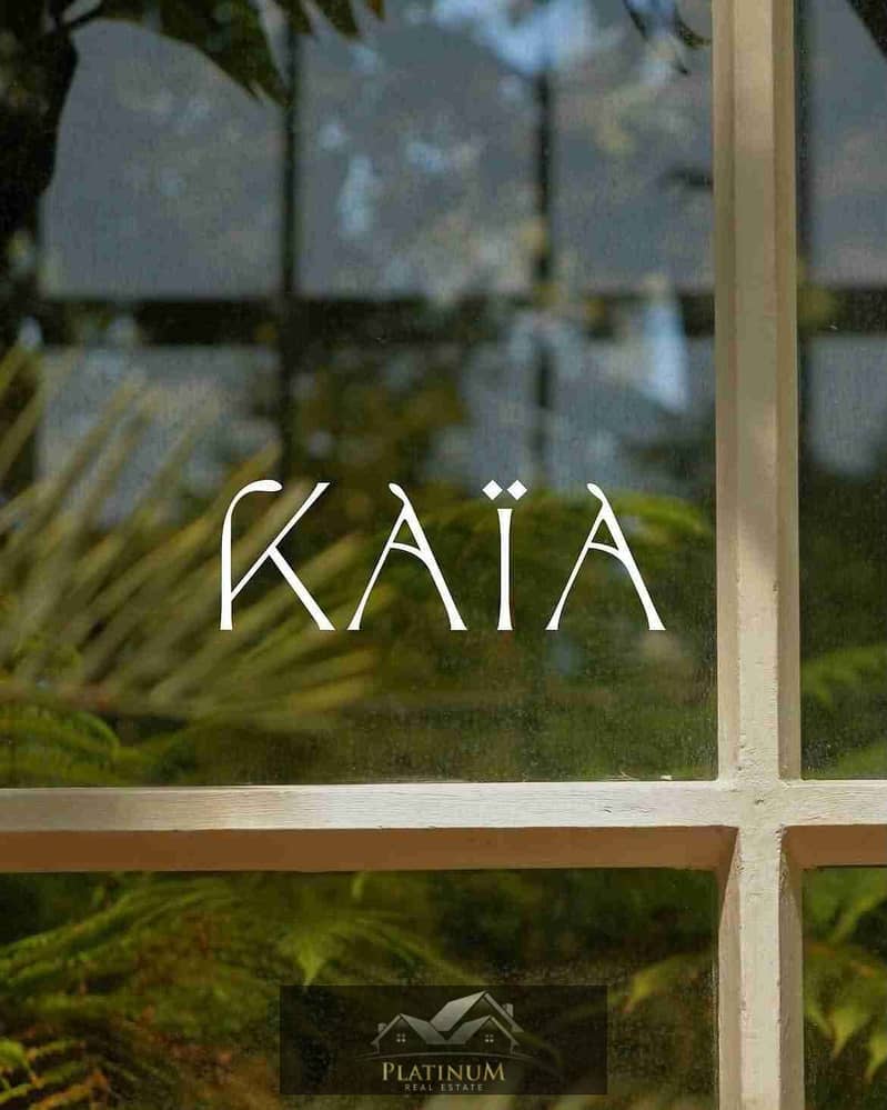 5 FB_IMG_1763399551950. jpg