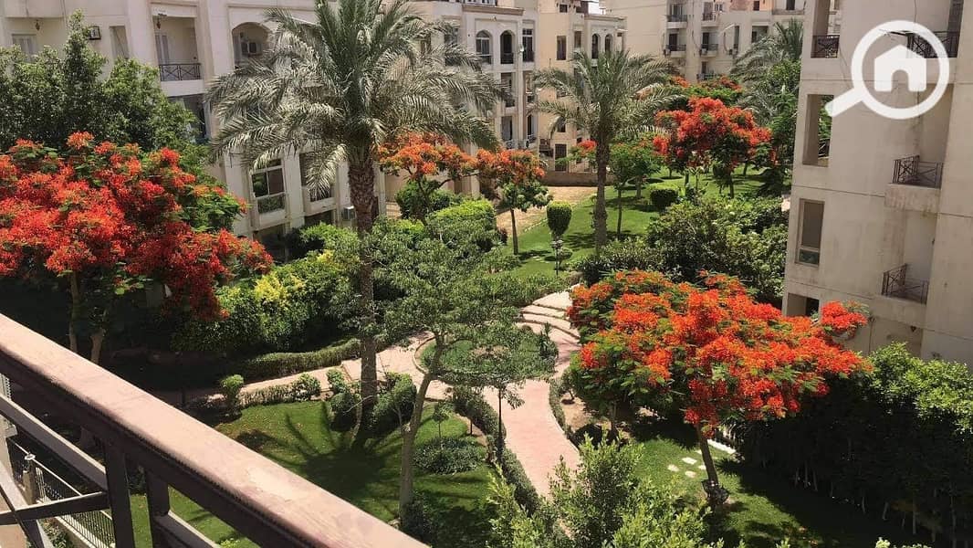 6 IMG-20251119-WA0289. jpg