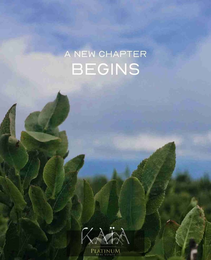 3 FB_IMG_1763588124571. jpg