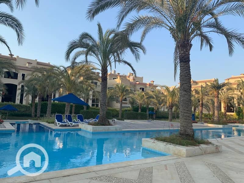 11 WhatsApp Image 2025-02-28 at 18.52. 04_a0e88af2. jpg