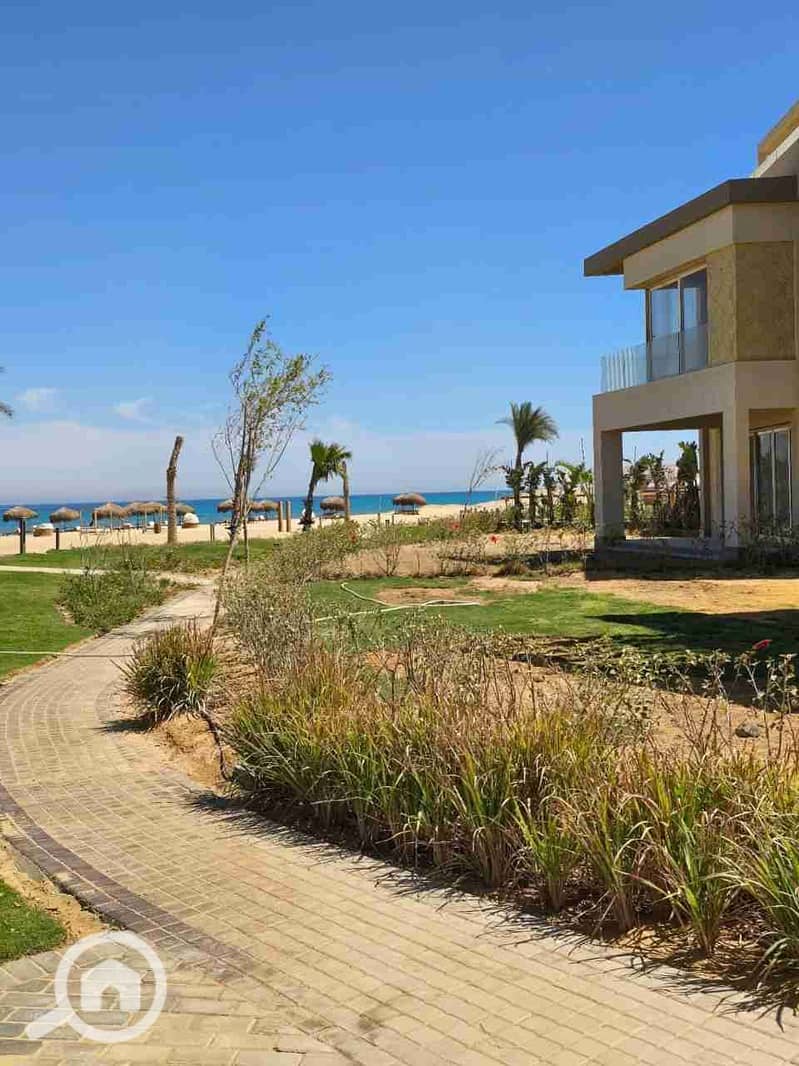 1000432689. jpg 1000432689. jpg