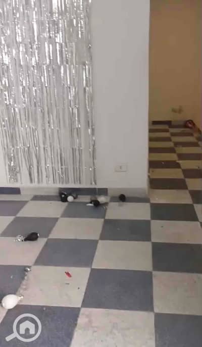 Office for Rent in Cleopatra, Alexandria - IMG_1941. jpg