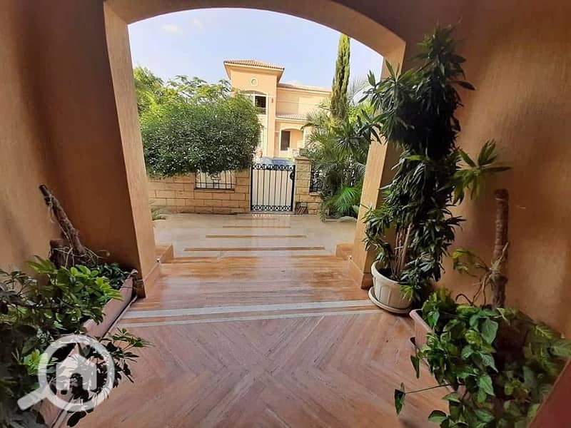 3 577614450_3289353851219127_5461012755839968680_n. jpg