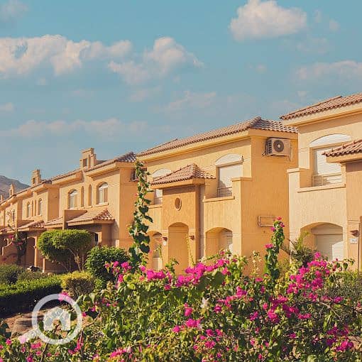 6 DSC08914-Edit. jpg