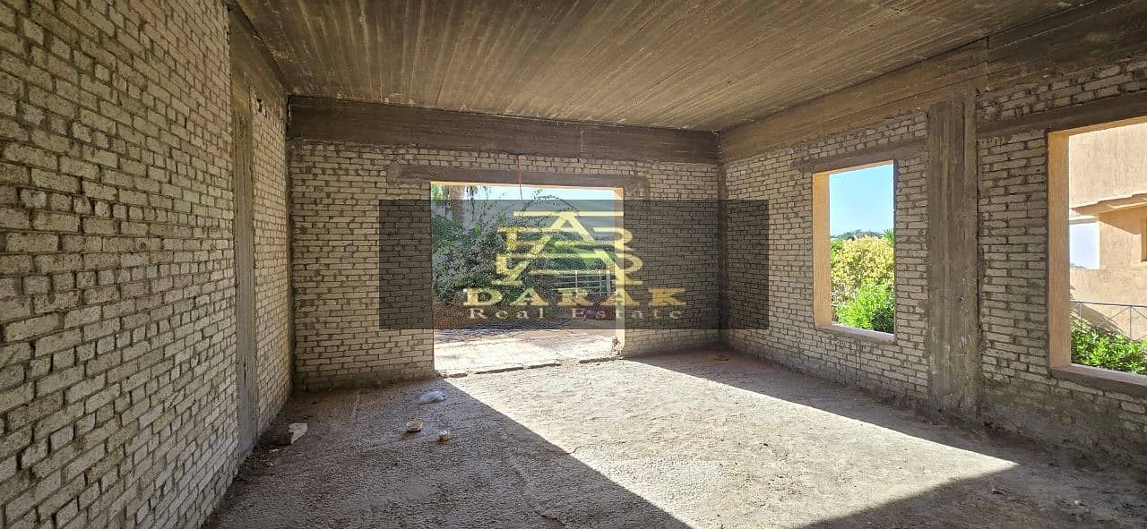 10 6037485135319469397. jpg