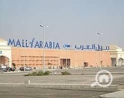 6 312d82fa-7e49-4175-ae9c-8fa5a7be202c. jpg