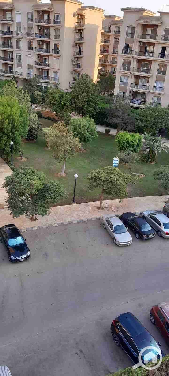 IMG-20251118-WA0041. jpg