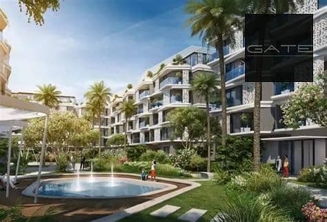 3 باديا بالم هيلز 2. jpg