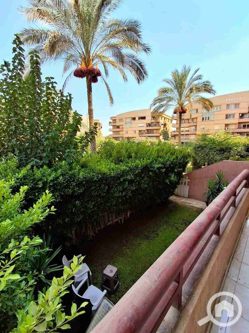 12 IMG_٢٠٢٥١٠٢٦_١٨٢٠٠٨. jpg