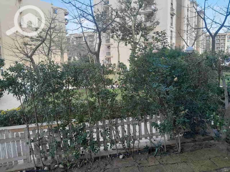 2 IMG_٢٠٢٥١٠٢٦_٠٤٤١١٠. jpg