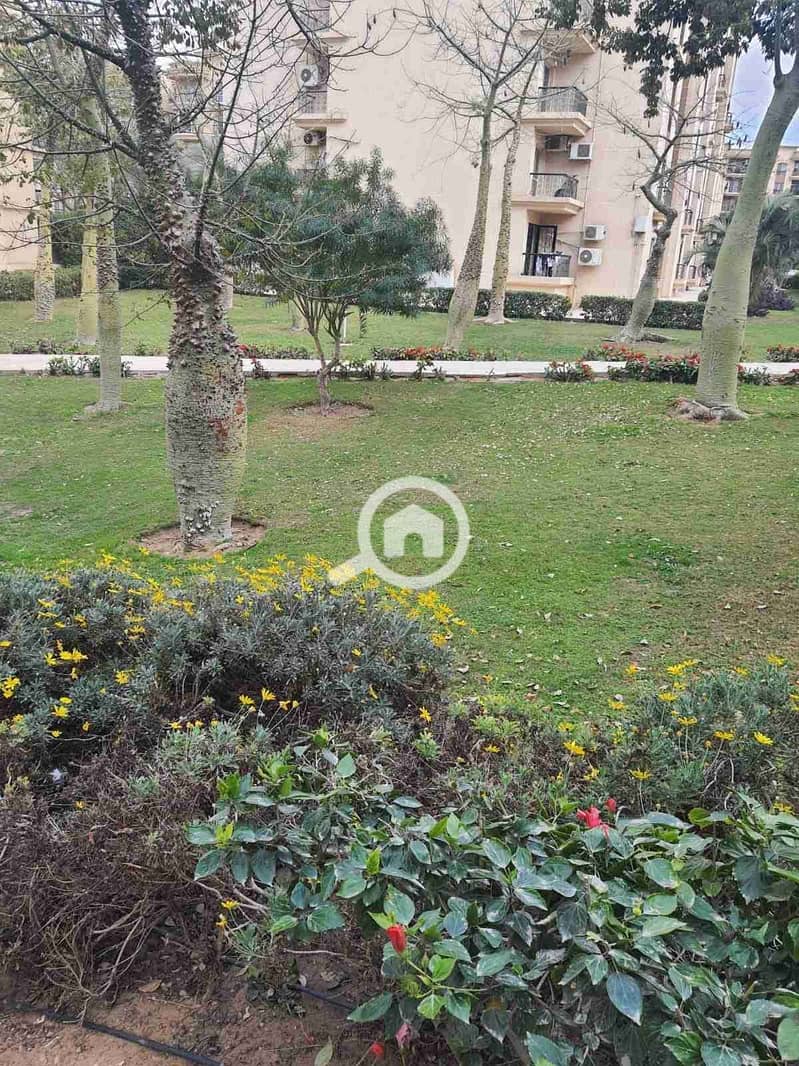 10 IMG_٢٠٢٥١٠٢٦_٠٤٤٤١٦. jpg