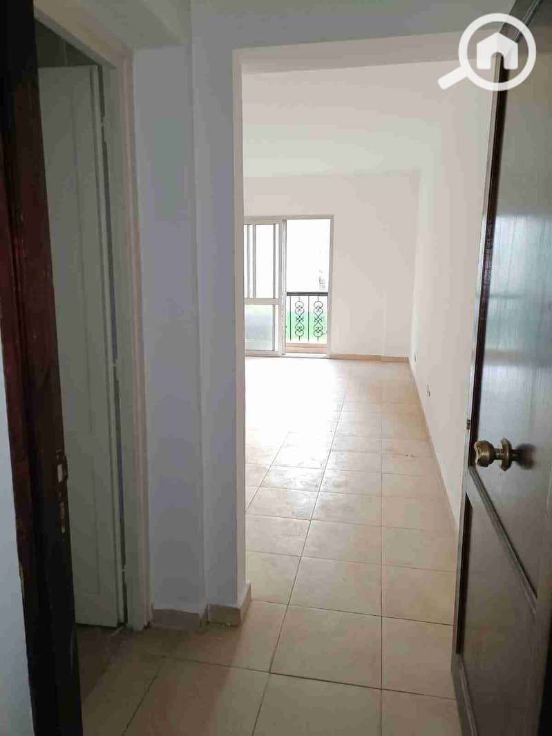 9 IMG_٢٠٢٥١٠٢٦_٠٥٣٢٤٣. jpg