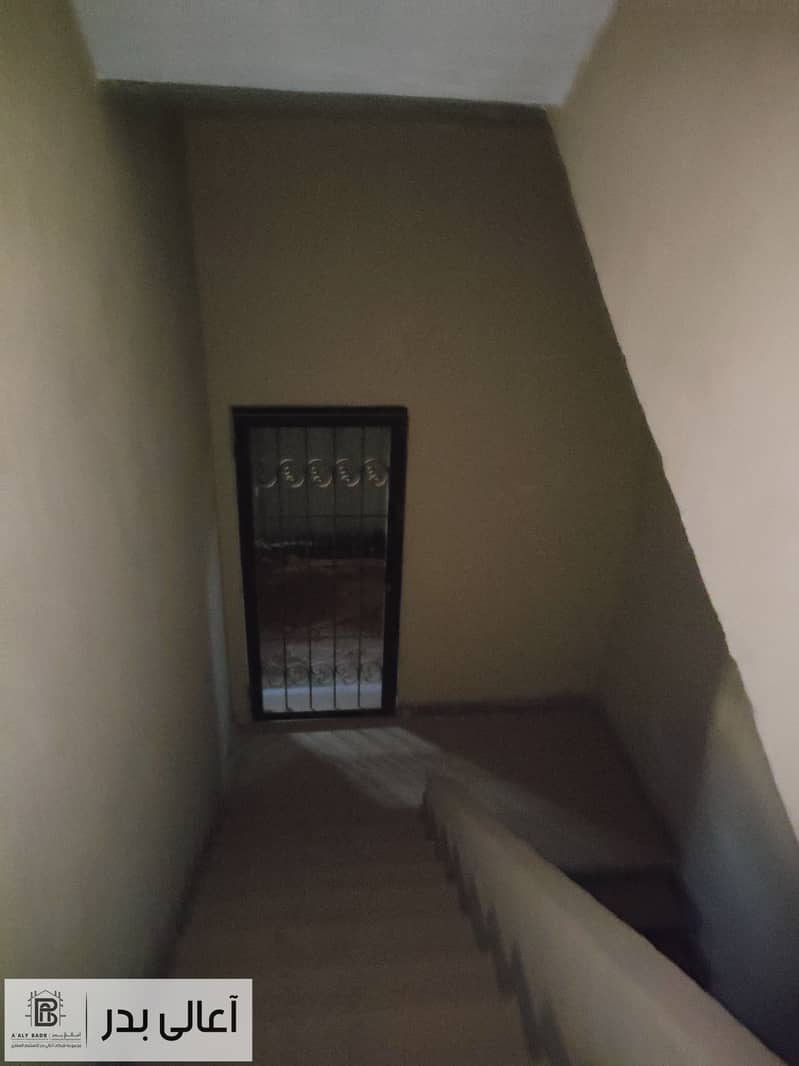 5 IMG20241217162445. jpg