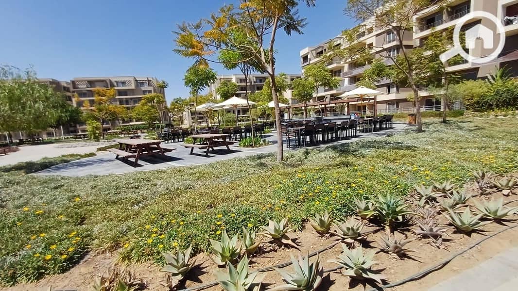 11 dfe8dbb5-f3de-4861-9d23-c248a7150a62. jpg