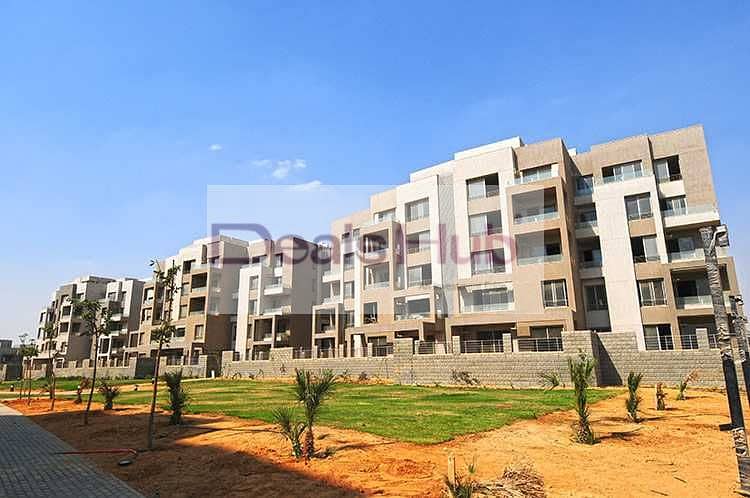 10 115822762_105951067872057_5285086695997617505_n. jpg