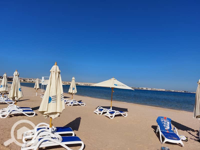 10 20241223_134311. jpg