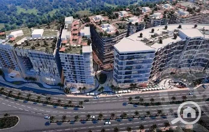 2 248144d7-9d99-4370-8093-18c19449e08a. jpeg