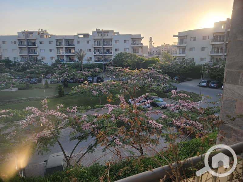 5 54d2ac0b-db19-49bb-a399-fc188a755b83. jpg