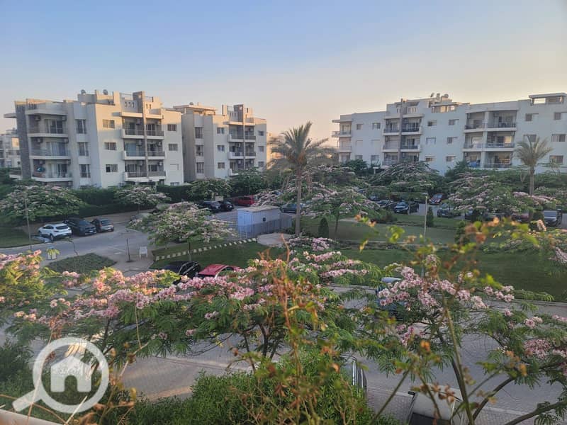 7 9509b20c-da72-4fba-be8b-268190972359. jpg