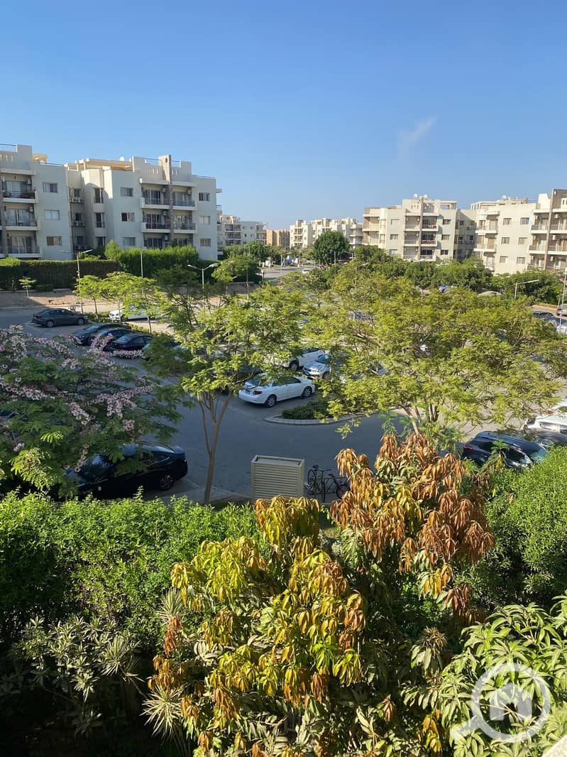 10 ffa4572e-c38e-47e1-9f33-280e6d22b2d3. jpg