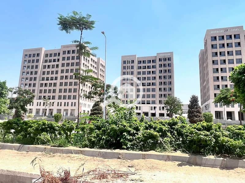 3 514377839_1240587603763829_3011475282264693798_n. jpg