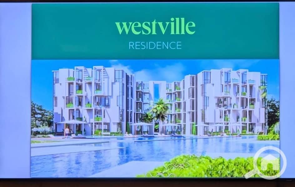 2 5af7d8d0-aaf6-4eaa-b05c-82418089078c. jpg