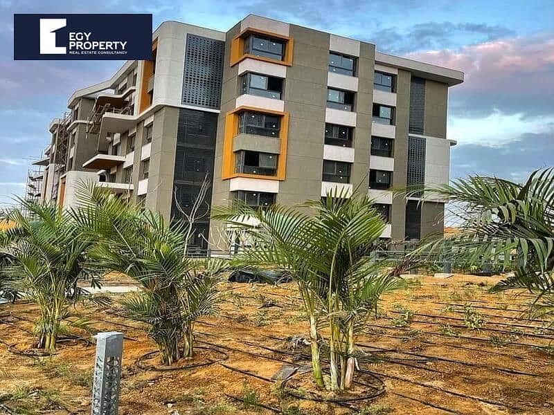 12 _files_1000012948. jpg