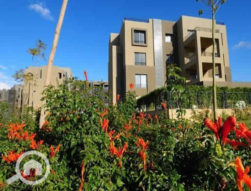 11 4b4d8329-8c34-4d0c-a5b4-0f91167be5da. jpg