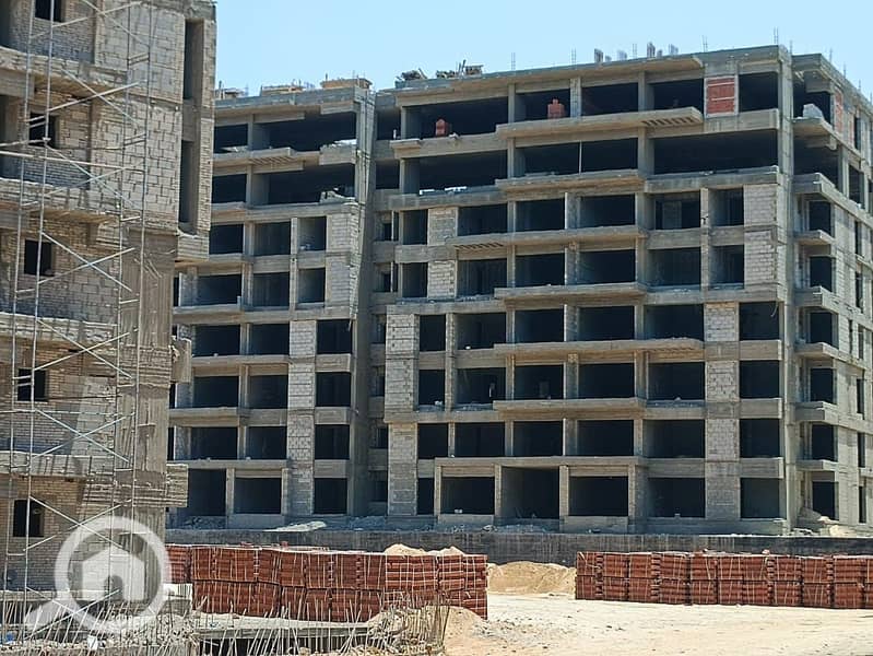 3 WhatsApp Image 2025-09-09 at 15.39. 46_f8e09447. jpg