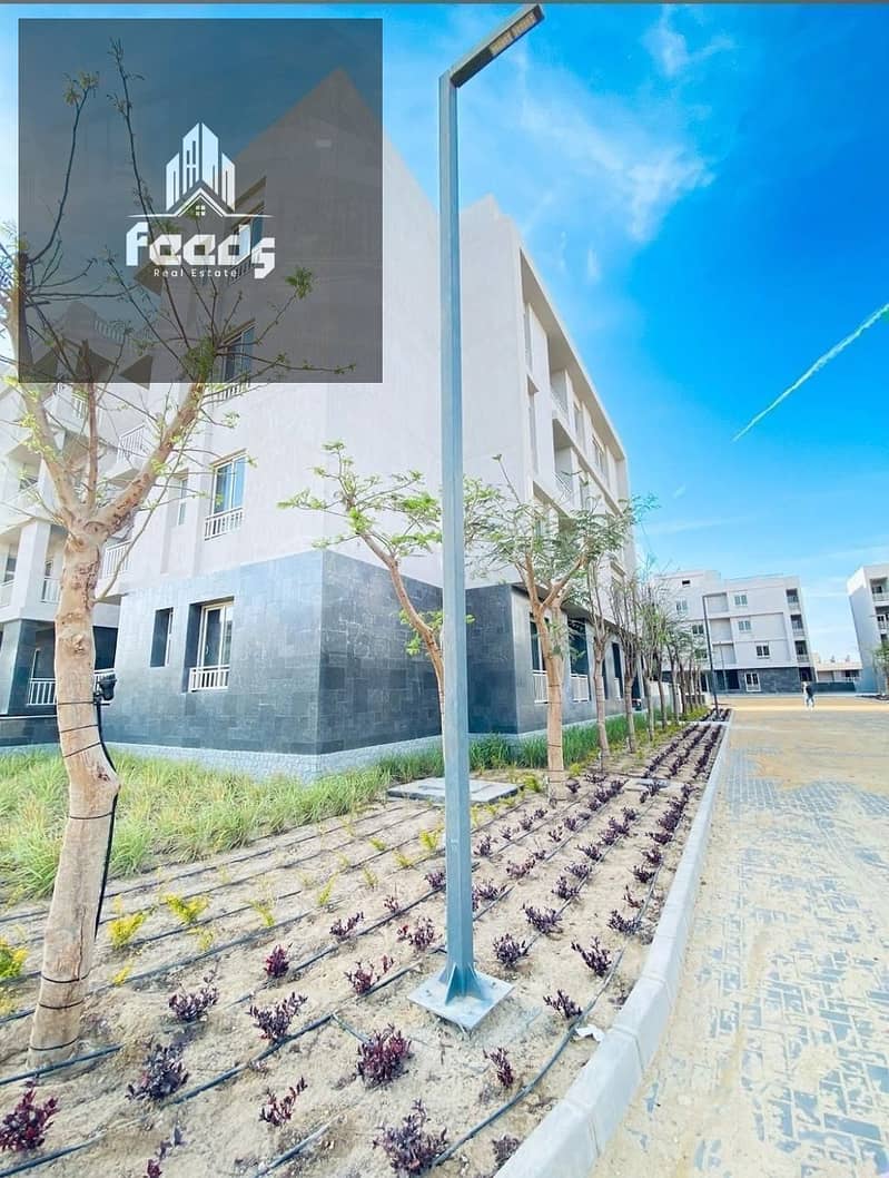 WhatsApp Image 2025-11-13 at 5.28. 59 PM. jpeg WhatsApp Image 2025-11-13 at 5.28. 59 PM. jpeg