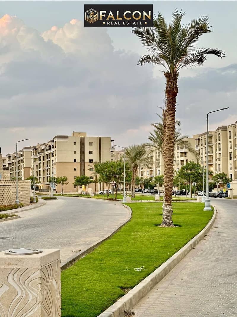 7 583685535_2757002017964685_6217070044299280656_n. jpg